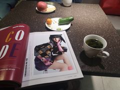 -虹桥机场国航贵宾室v8