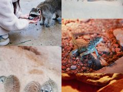 -石林冰雪海洋世界