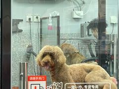 -宠物家(长阳店)