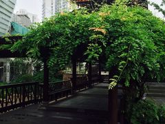 iphone_upload_pic-活水公园