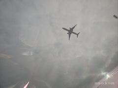 -东方太阳城淮扬餐厅(会所中餐厅店)