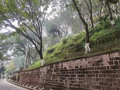 -重庆平顶山公园