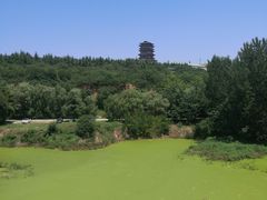 -老雒阳面馆·水席(定鼎门店)