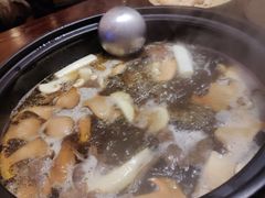 -滇野云南野生菌餐厅(陕西南路店)