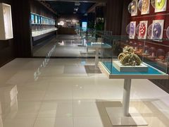 -青岛贝壳博物馆