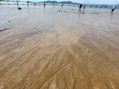 -青岛第一海水浴场