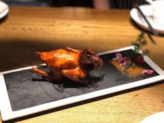 -大鸽饭(岗顶店)