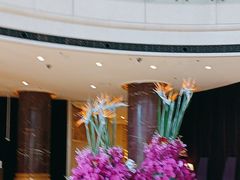 -上海红塔豪华精选酒店