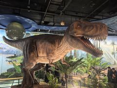 -陕西自然博物馆