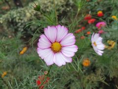 -共青国家森林公园-南大门停车场