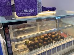 -一只酸奶牛(来福士店)
