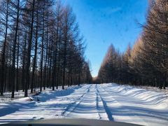 -塞罕坝国家级自然保护区