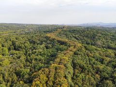 -宜兴龙背山森林公园