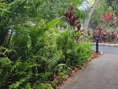 -热带雨林自然公园
