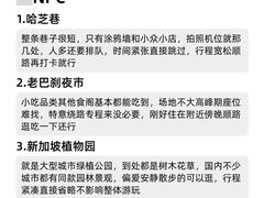 -圣淘沙天际线斜坡滑车