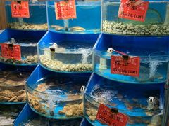 水产区-北戴河庆山饭店·海鲜砂锅粥(北戴河黑石路店)