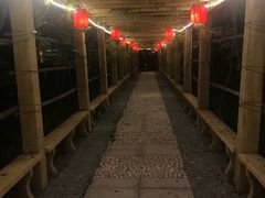 -中家鑫园温泉酒店鑫悦汤泉