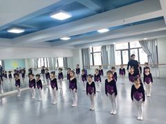 -西安小天鹅艺术团(金花路校区)