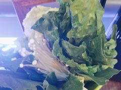 -渔香岛美蛙鱼头火锅店(威清路店)