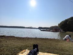 -上海海湾国家森林公园