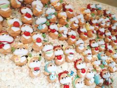 -柴犬高等学院·狗咖·柴犬售卖·宠物训练