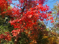 -长春市南湖公园