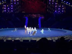 -珠海横琴长隆《卡卡虎奇遇记》