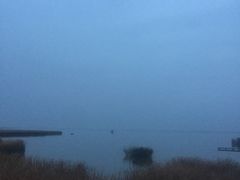 -哈素海