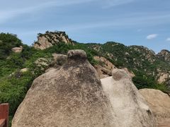-大岭沟猕猴桃谷风景区