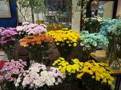 -弗劳尔花艺坊(龙涛店)