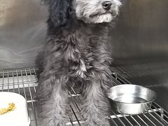 -爱侣宠医·鹦鹉专科·小型哺乳类·异宠专科(灵石路店)