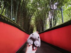 -成都武侯祠博物馆