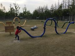 -上海长兴岛郊野公园