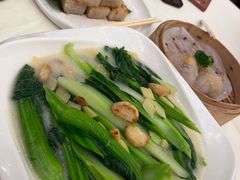 白灼田园菜心-龙的酒楼·手工早茶·顺德菜(近良路店)