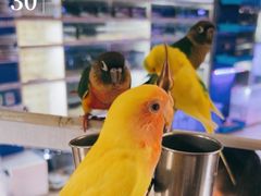 -山东柏宁水族批发广场