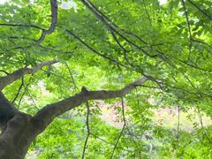 -湖洞水自然风景区