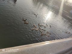 -西安汉城湖景区