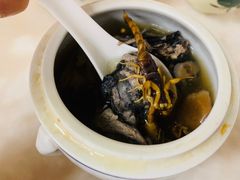 党参乌鸡炖蝎子-国英炖品店(甲子路店)