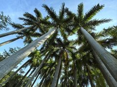 -帝豪酒店•马可勃罗西餐厅