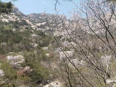 -崂山巨峰游览区
