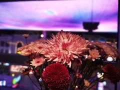 -原食日记(合生汇购物中心店)