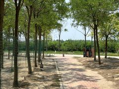 -南大港湿地风景区