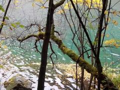 -叠溪松坪沟景区