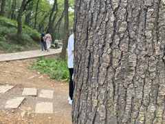 -句容茅山景区