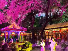 -白家大院·王府宫廷菜(苏州街店)
