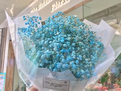 -植物学家的女儿(北马道巷店)