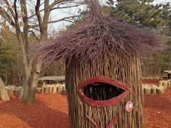 -北京西山国家森林公园