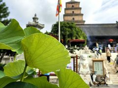 -大慈恩寺(大雁塔)