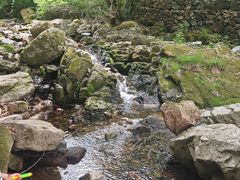 -本溪汤沟绿石谷森林公园