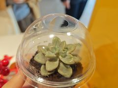 -麦当劳(药谷大道店)